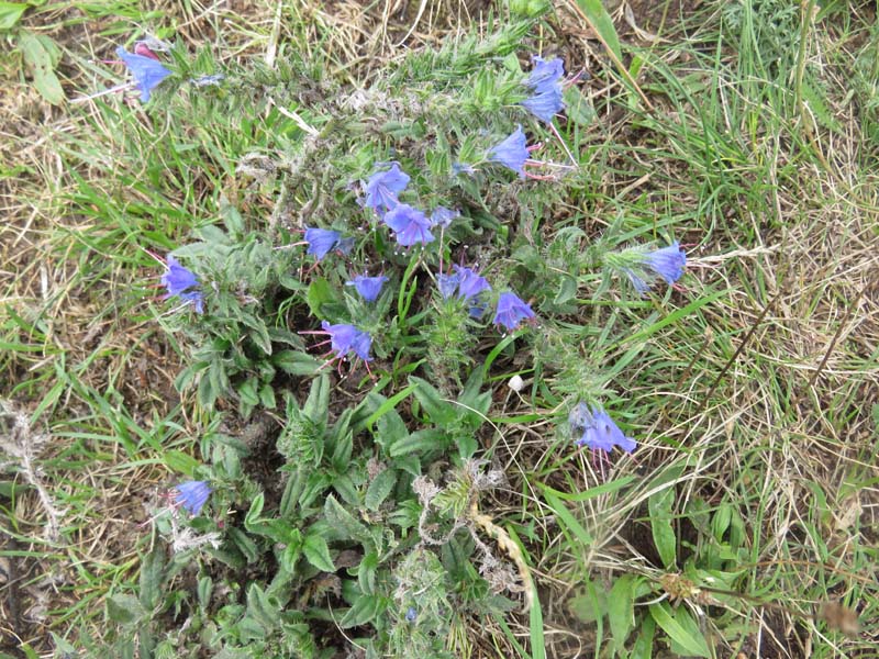 15-08-19_0164_HZ-GgSt_GaC-IMG_1717