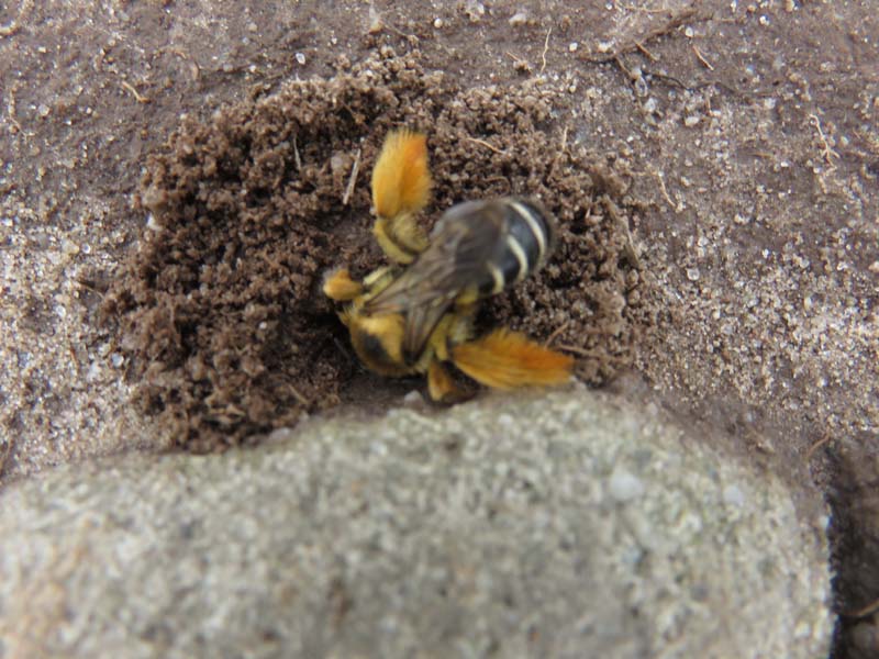 15-08-19_0173_HZ-GgSt_GaC-IMG_1726