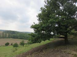 15-08-19_0085_HZ-GgSt_GaC-IMG_1659