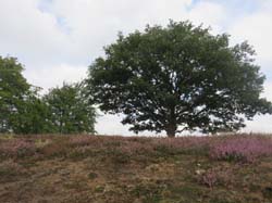 15-08-19_0090_HZ-GgSt_GaC-IMG_1660