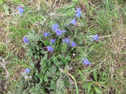 15-08-19_0164_HZ-GgSt_GaC-IMG_1717