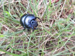 15-08-19_0195_HZ-GgSt_GaC-IMG_1747